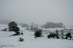 Hulshorsterzand in de winter