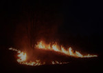 Heidebrand in Elspeet