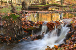 Leuvenumse beek 2008