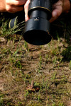 Adder en fototoestel, De Bieze