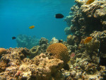 Landschap, Dahab Canyon