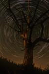 Startrails Westeindse heide, Nunspeet